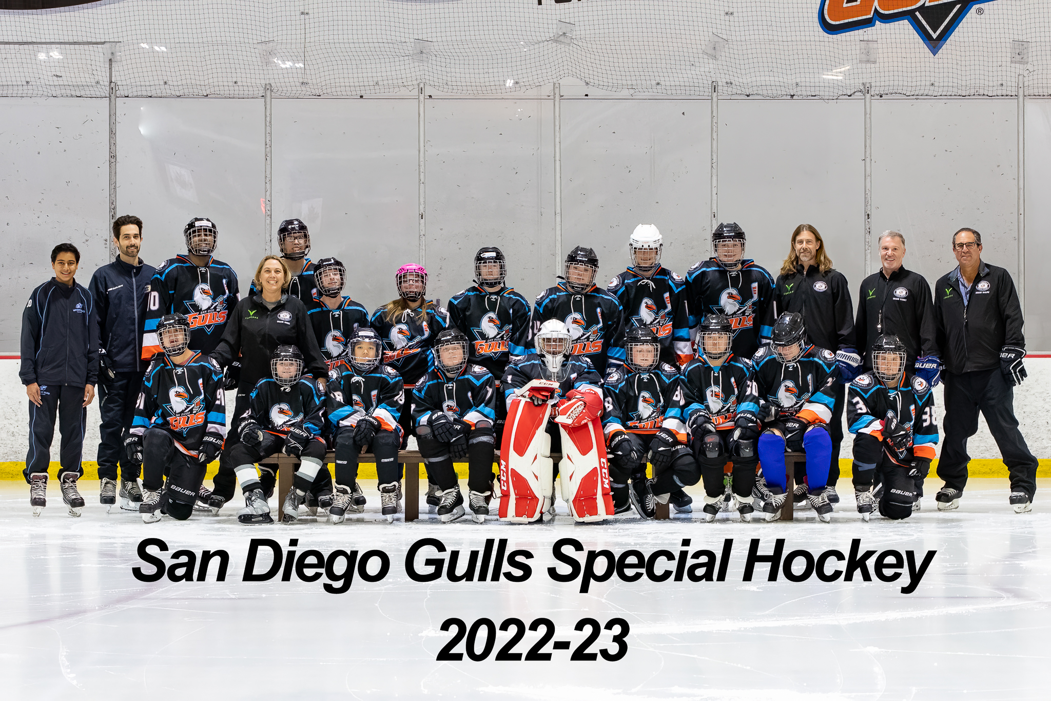 Team  San Diego Gulls